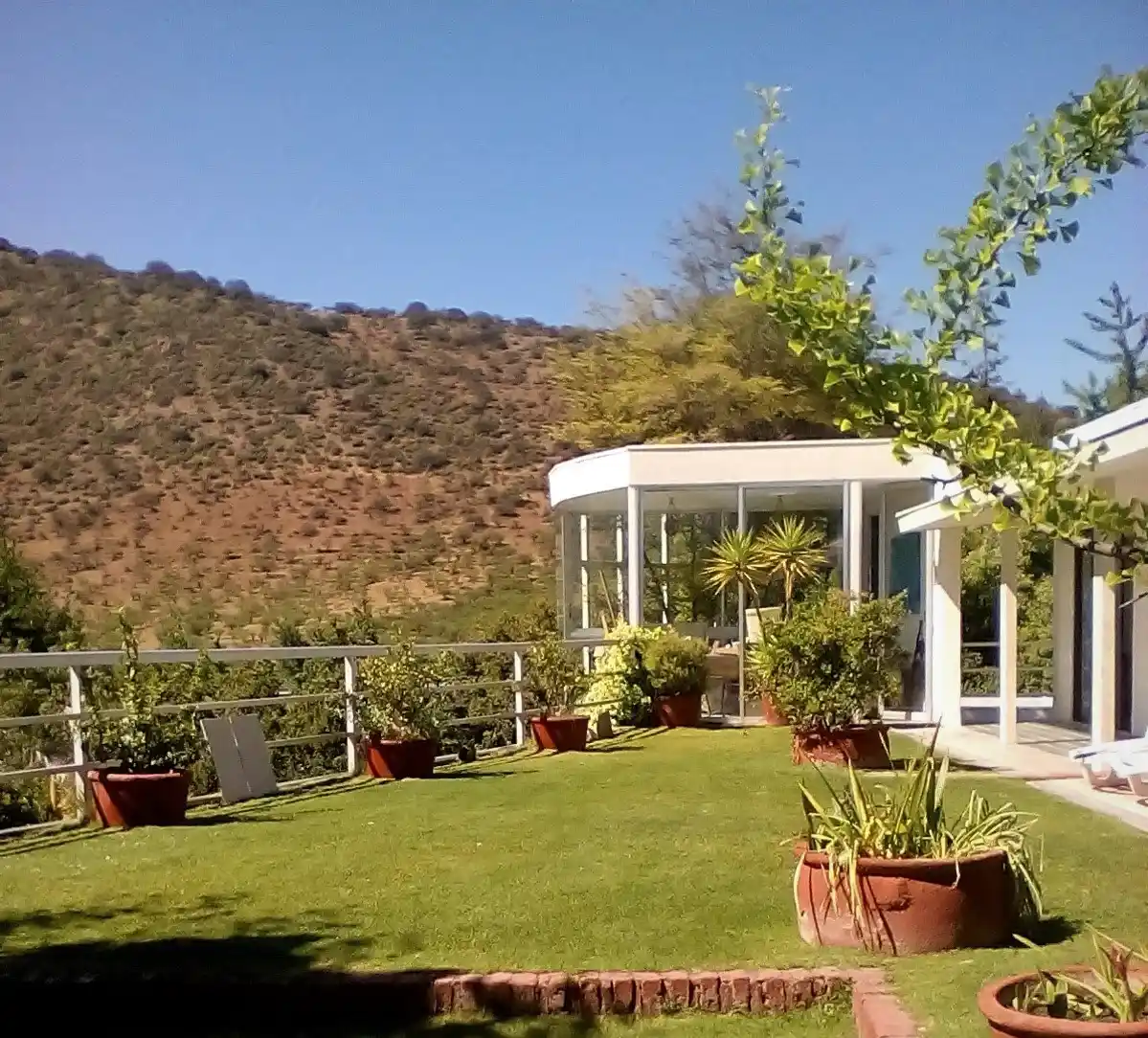 regadio patio palmeras